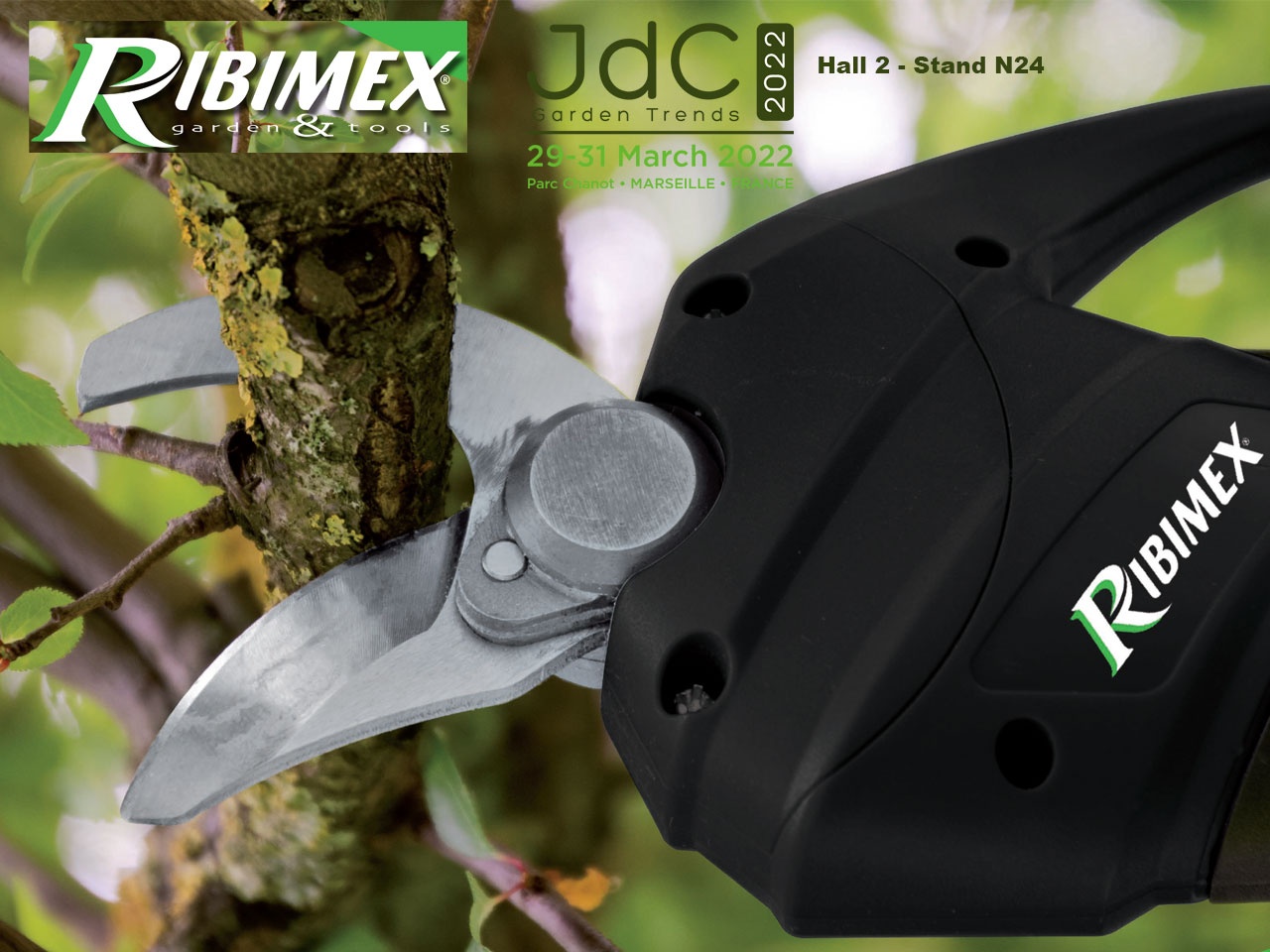 RIBIMEX Garden & Tools présente sa gamme de sécateurs et élagueuse à batterie dédiés à la taille.