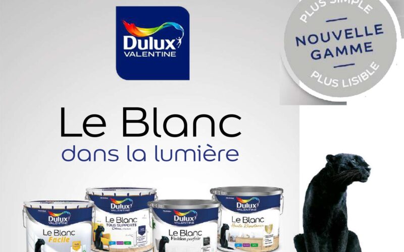 DULUX VALENTINE réinvente le blanc à l’infini !