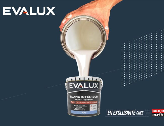 Brico Dépôt lance sa marque propre de peinture :  Evalux