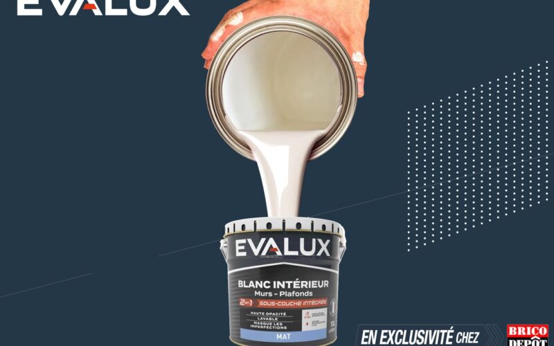 Brico Dépôt lance sa marque propre de peinture :  Evalux