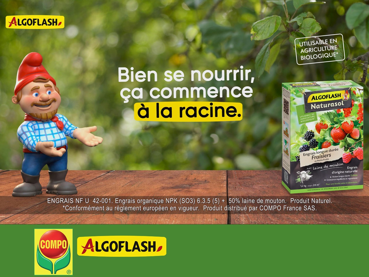 Algoflash ramène sa fraise sur la toile !