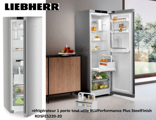 LIEBHERR : Le réfrigérateur 1 porte tout utile BLUPerformance Plus SteelFinish – RDSFE5220-20