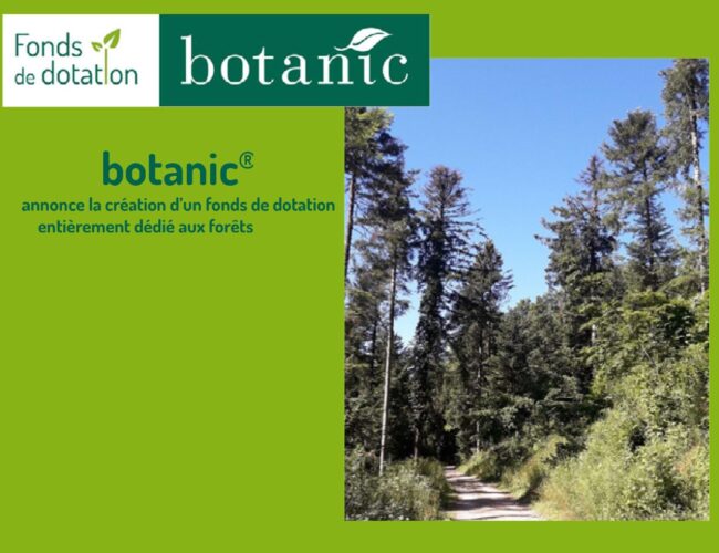 botanic® annonce la création d’un fonds de dotation entièrement dédié aux forêts