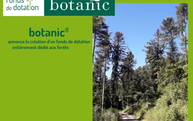 botanic® annonce la création d’un fonds de dotation entièrement dédié aux forêts