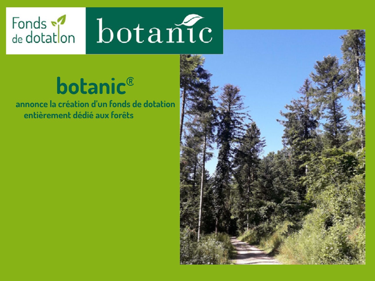 botanic® annonce la création d’un fonds de dotation entièrement dédié aux forêts