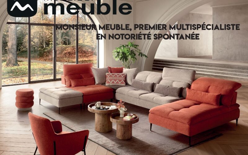 Monsieur meuble, premier multispécialiste  en notoriété spontanée