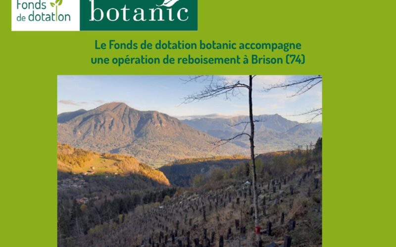 Le Fonds de dotation botanic accompagne une opération de reboisement à Brison (74)