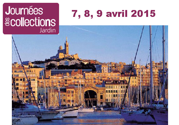 JDC 2015, destination Marseille