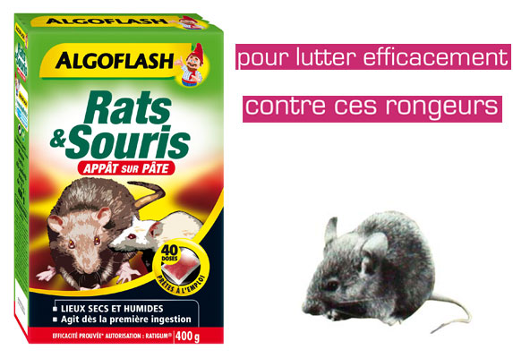 Nouveaux anti-nuisibles rats et souris