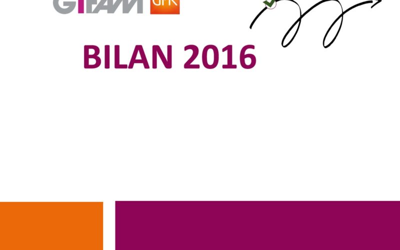 GEM et PEM : la filière en 2016 a tenu le cap de la croissance initiée en 2015