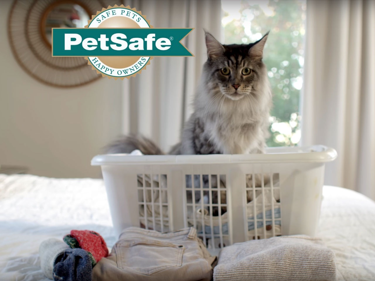 Campagne de communication originale pour Petsafe