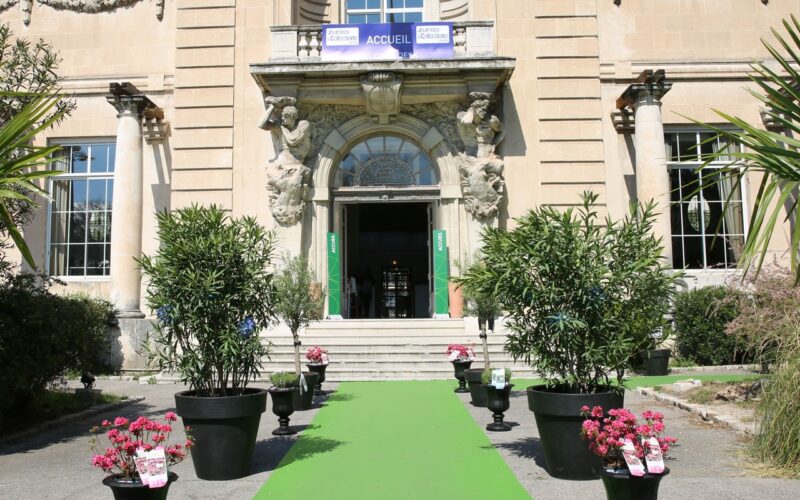 L’HERBE éTAIT VERTE SOUS LE CIEL MARSEILLAIS DES JdC