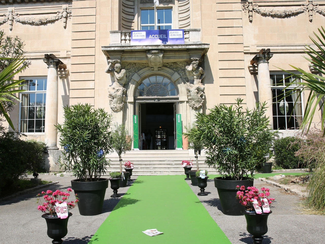 L’HERBE éTAIT VERTE SOUS LE CIEL MARSEILLAIS DES JdC