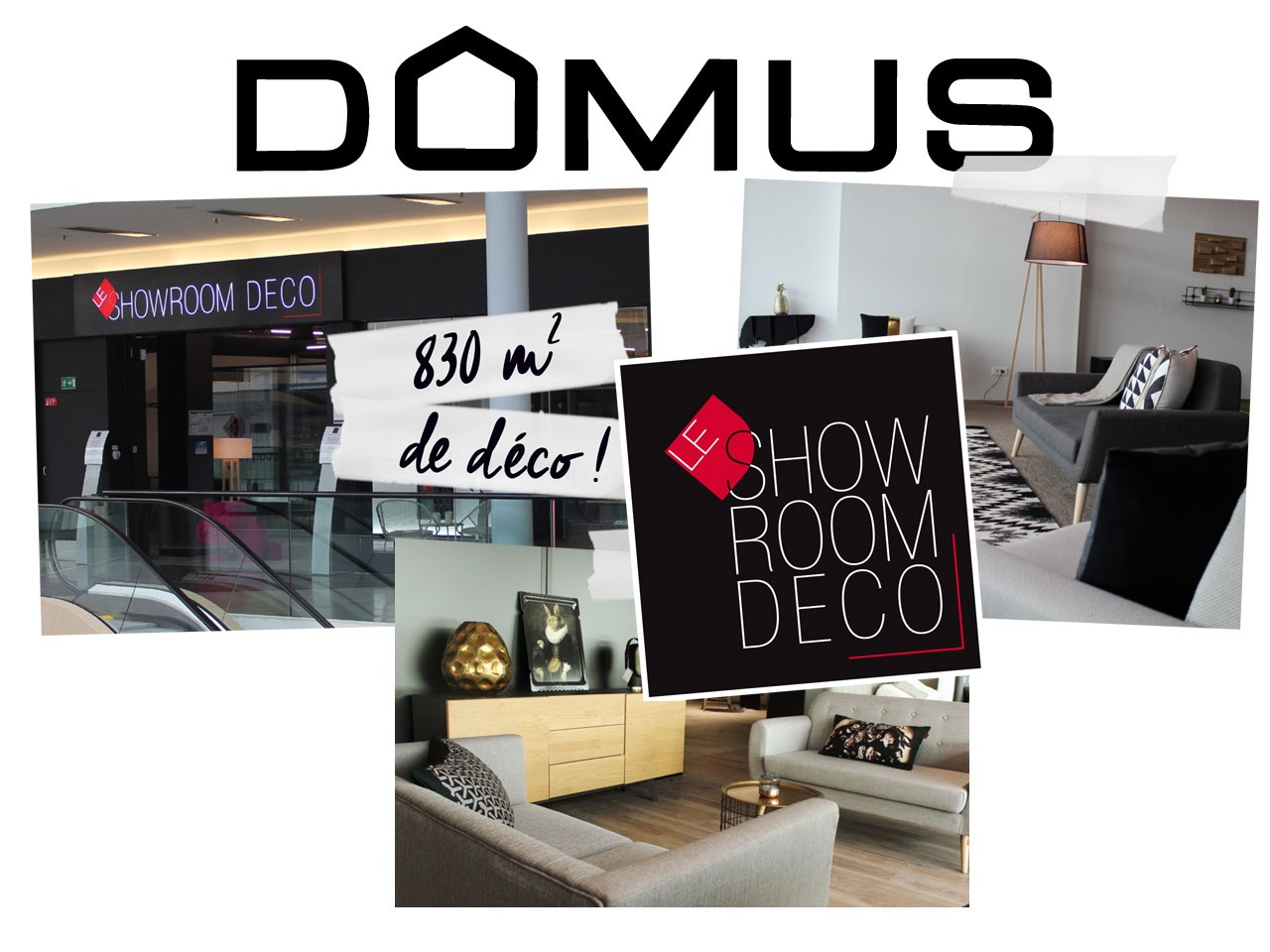 DOMUS ouvre son premier showroom déco