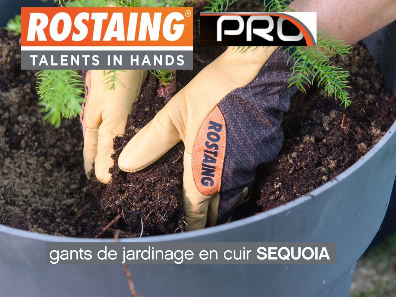 Innovation chez ROSTAING avec les gants de jardinage en cuir SEQUOIA