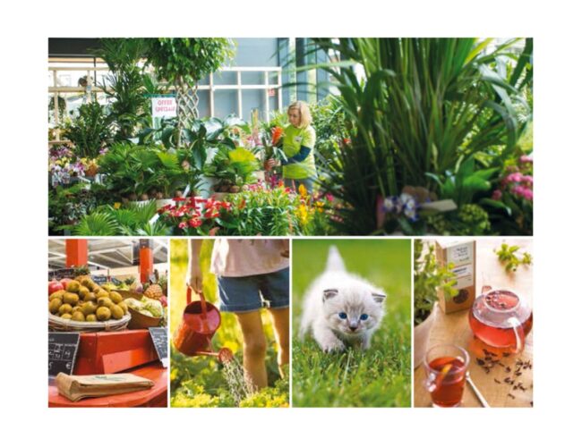 Devenir la jardinerie naturelle préférée des Français