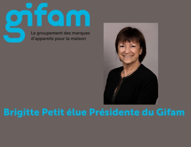 Brigitte Petit, Présidente de Beko France, élue Présidente du Gifam
