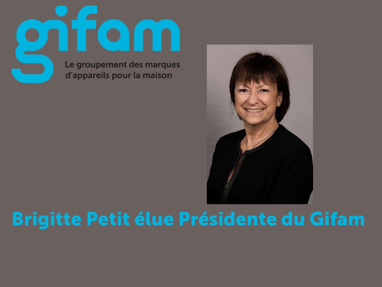 Brigitte Petit, Présidente de Beko France, élue Présidente du Gifam