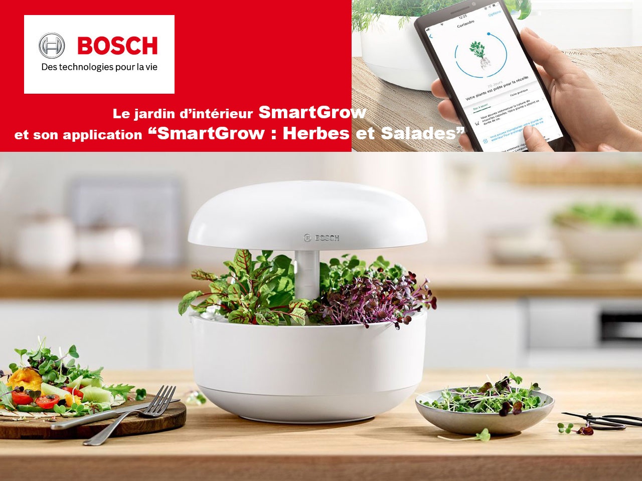 L’application « SmartGrow de Bosch : Herbes et Salades », pour un jardinage d’intérieur simplifié