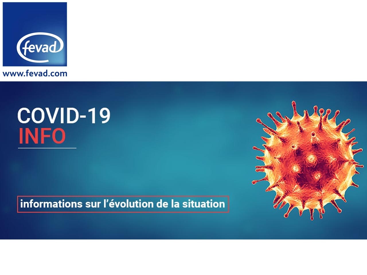 Fevad : Enquête sur l’impact du Covid-19 sur le e-commerce français*