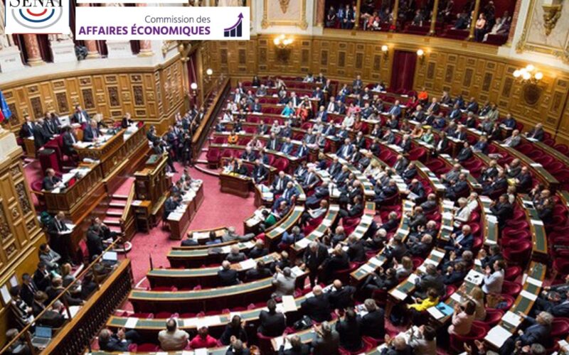 Communiqué Sénat : Le Gouvernement au milieu du gué