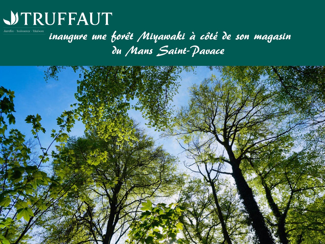 TRUFFAUT inaugure les « Jardins pour Demain » et initie la plantation d’une mini forêt Miyawaki !