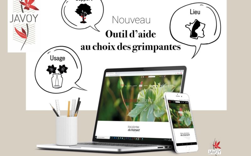 Javoy-plantes combine technologie et végétal avec brio. 