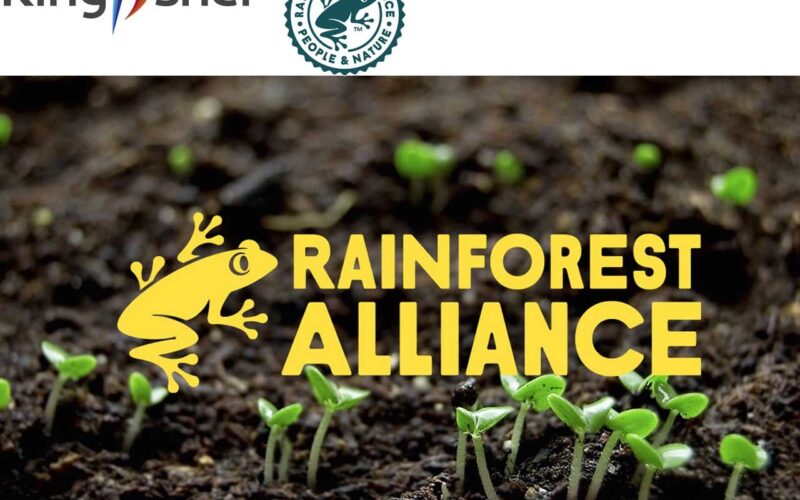 Kingfisher rejoint l’association Rainforest Alliance en tant que membre fondateur de l’initiative Forest Allies