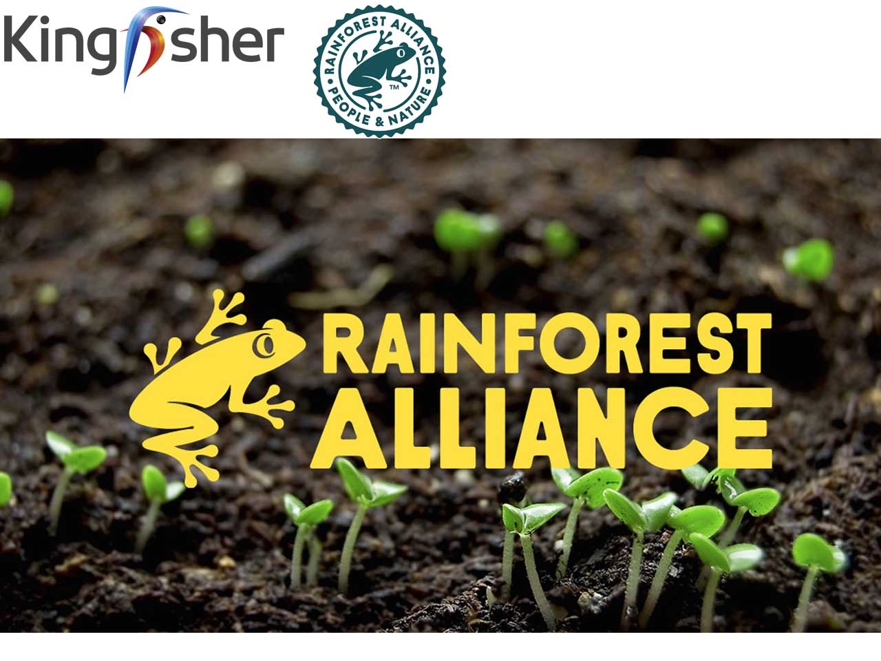 Kingfisher rejoint l’association Rainforest Alliance en tant que membre fondateur de l’initiative Forest Allies