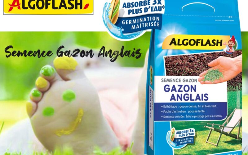 Algoflash en nouveauté printemps, la Semence Gazon Anglais