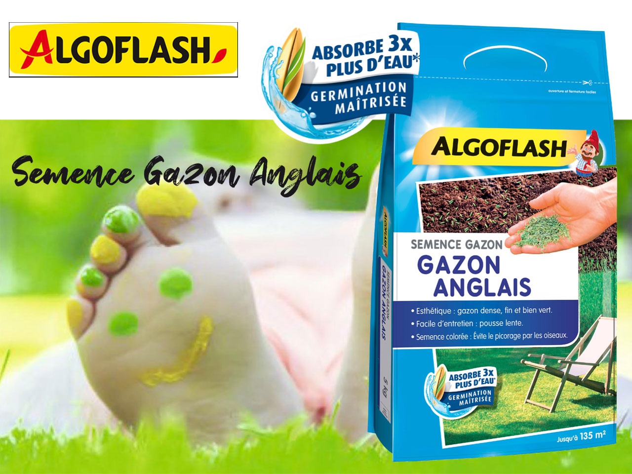 Algoflash en nouveauté printemps, la Semence Gazon Anglais