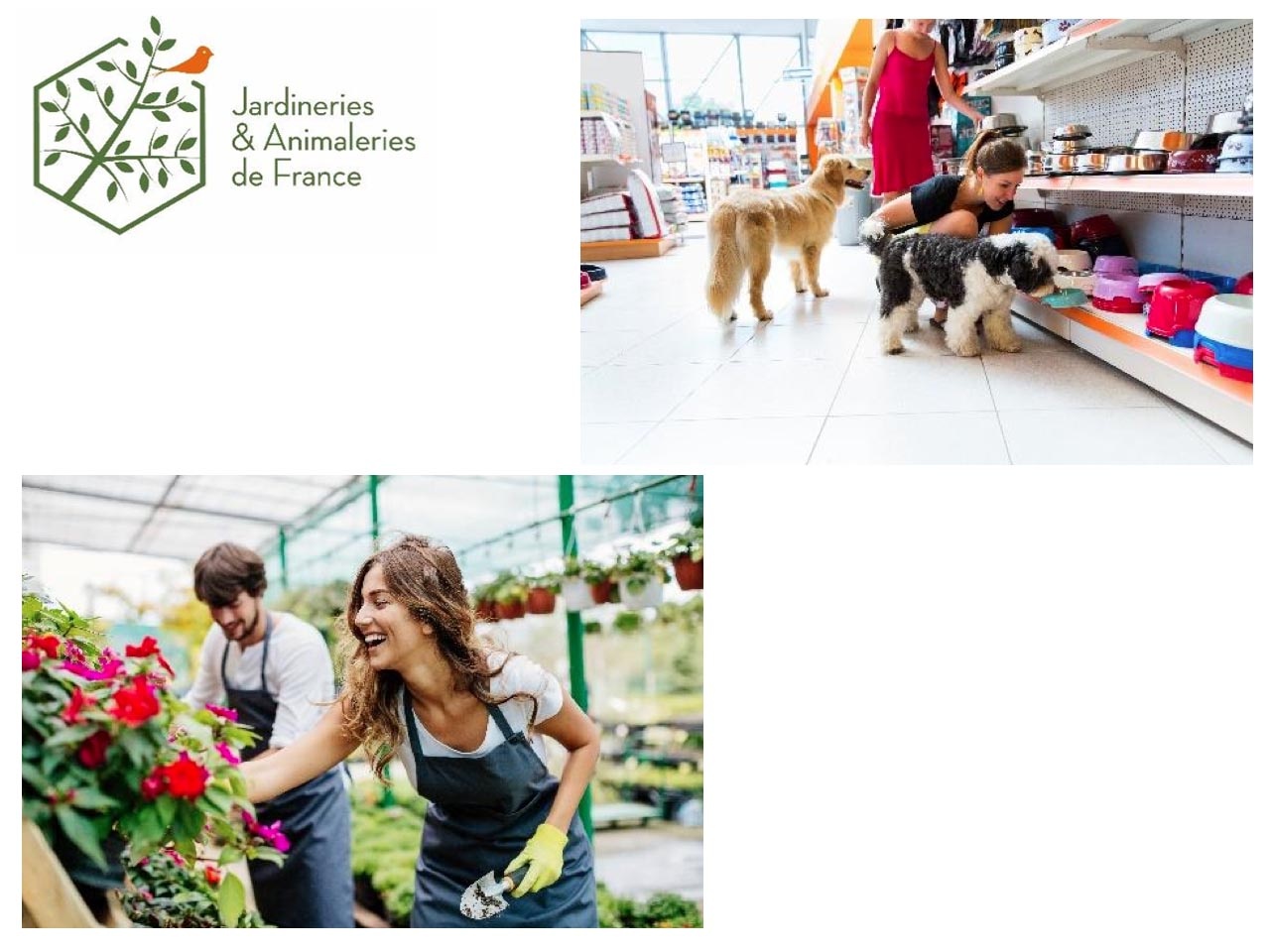 Jardineries et Animaleries de France : 3ème confinement, autorisation d’ouverture des jardineries