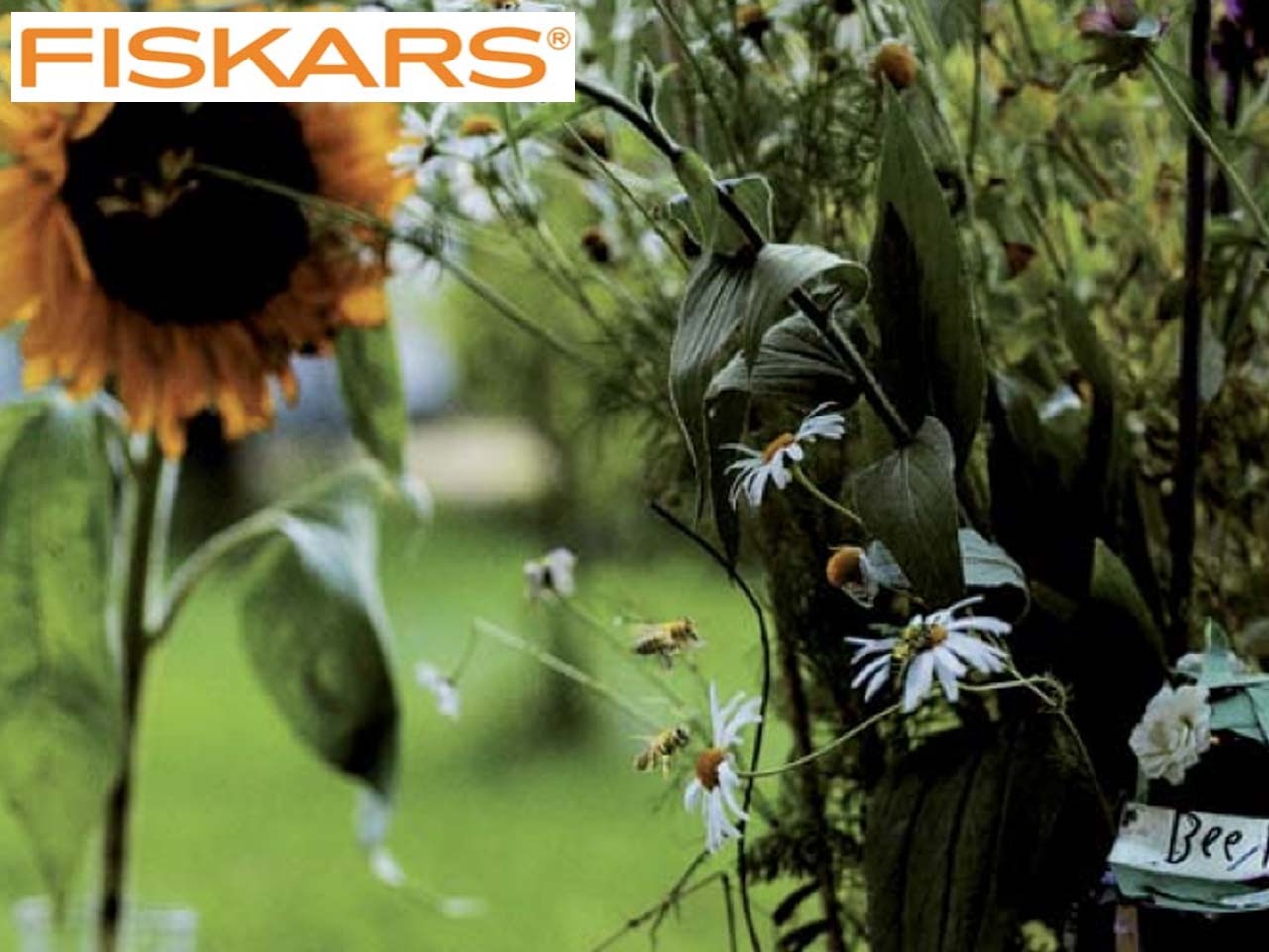 Fiskars se mobilise en faveur des abeilles et lance l’opération « Happy Bees 100 % Bonheur »