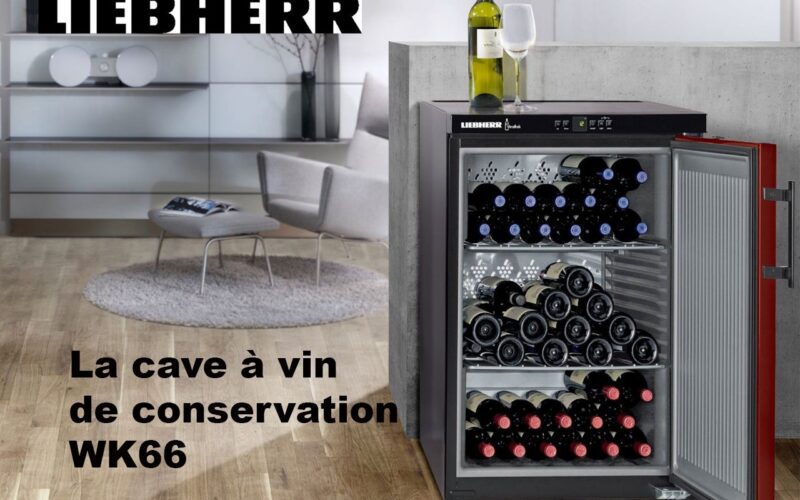 LIEBHERR, avec sa cave à vin de conservation WK66, veut rendre les Français heureux !