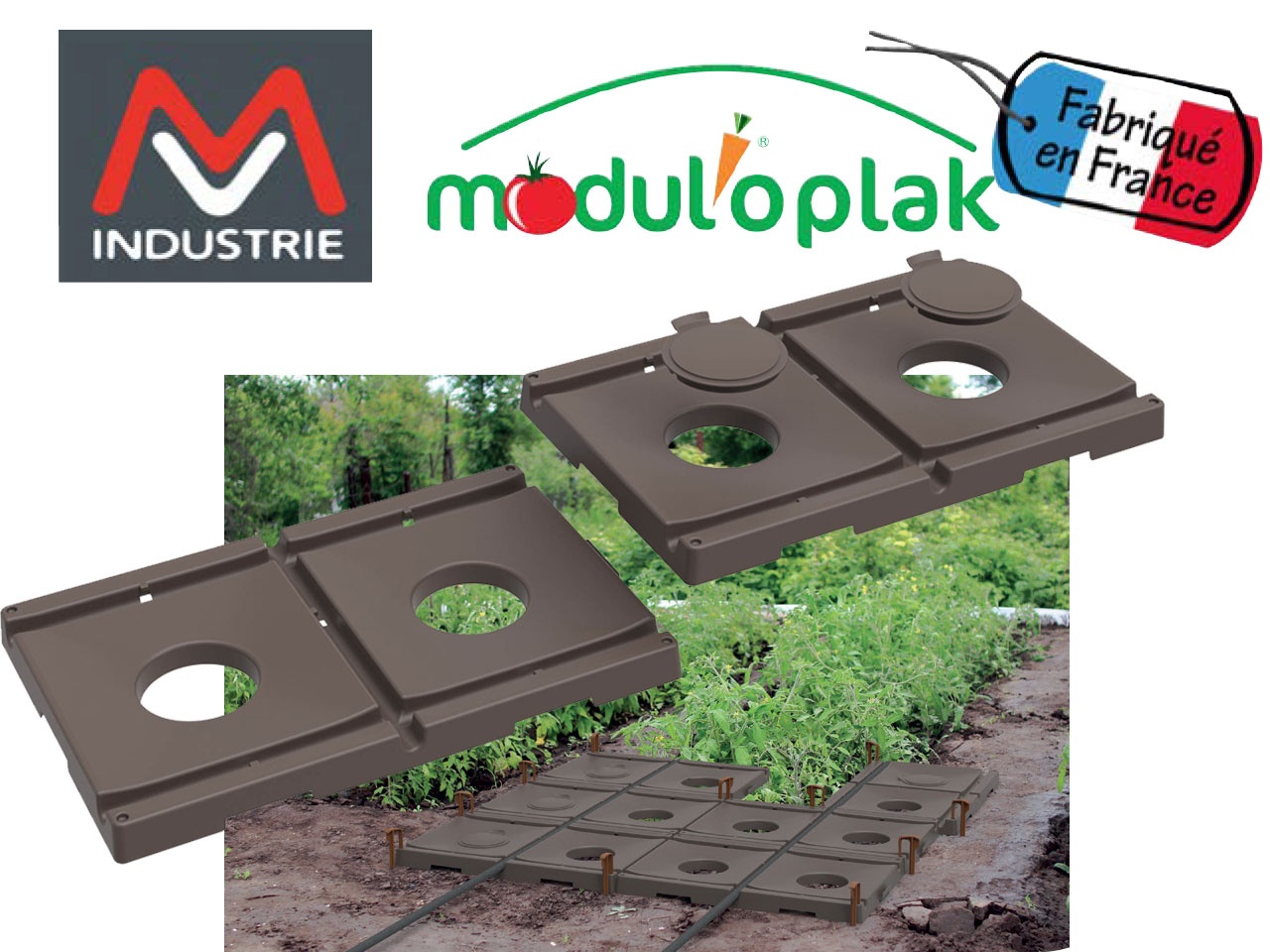 MV INDUSTRIE lance Modul’oplak pour limiter l’arrosage et la pousse des mauvaises herbes