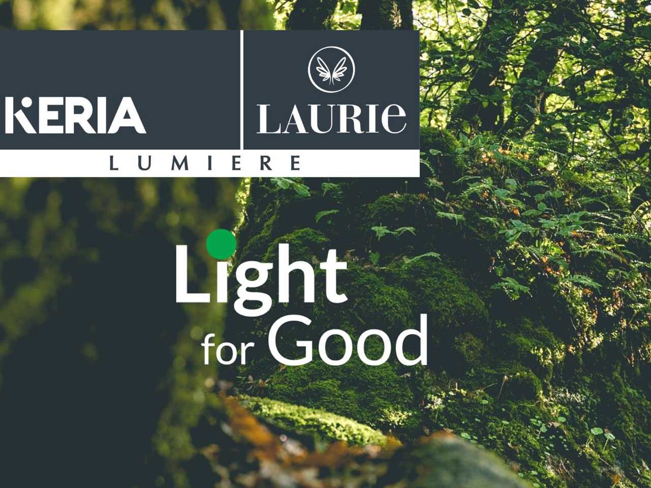 KERIA – LAURIE LUMIERE light for Good et Keria x EcoTree : Entreprise et Marque citoyenne !