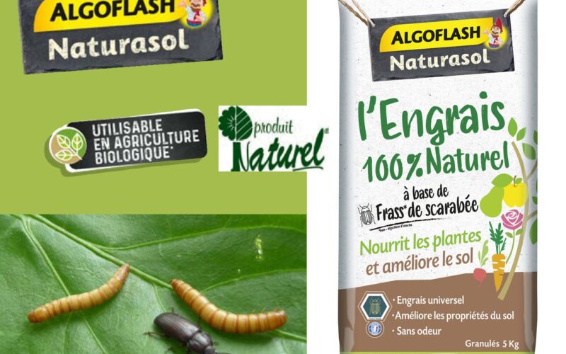 INNOVATION ALGOFLASH :  L’Engrais à base de frass de scarabée.