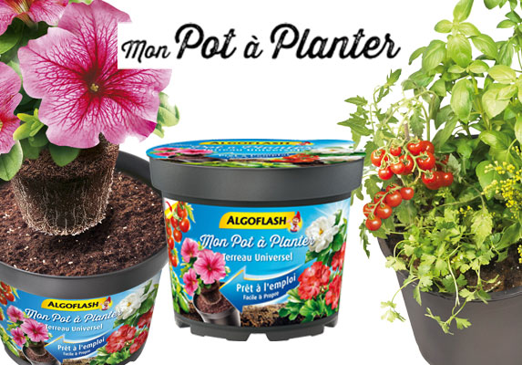 Mon Pot à Planter par Algoflash