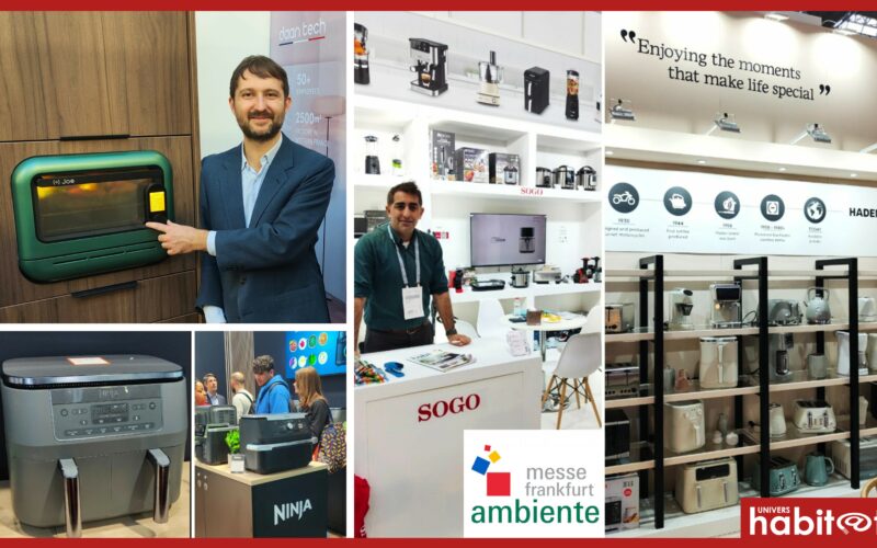 Ambiente : à la rencontre de Daan Tech, Ninja, Sogo et Haden