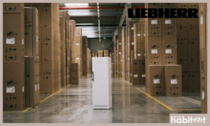 Après un an de distribution en France, Liebherr dresse un bilan 2024 prometteur