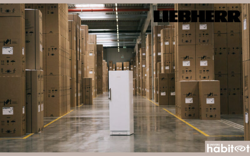 Après un an de distribution en France, Liebherr dresse un bilan 2024 prometteur
