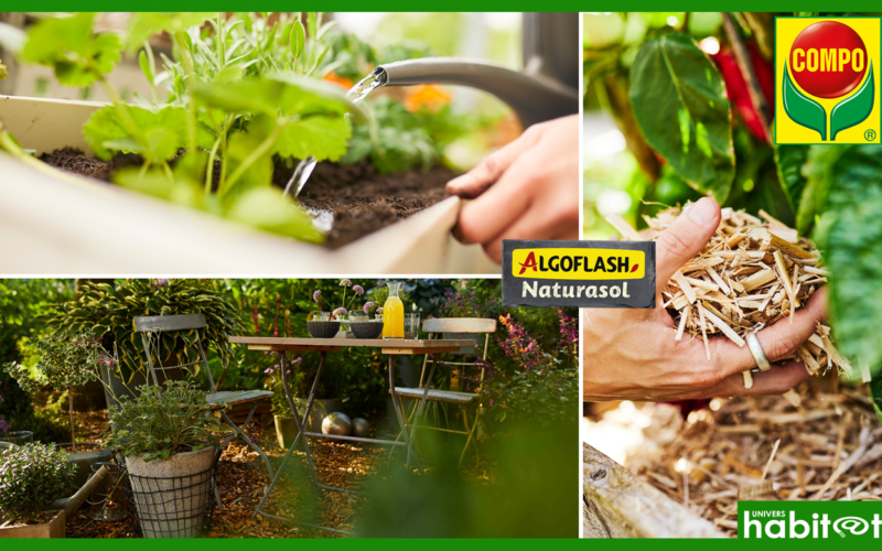 Compo agrémente Algoflash et Naturasol de 3 nouveaux paillages naturels