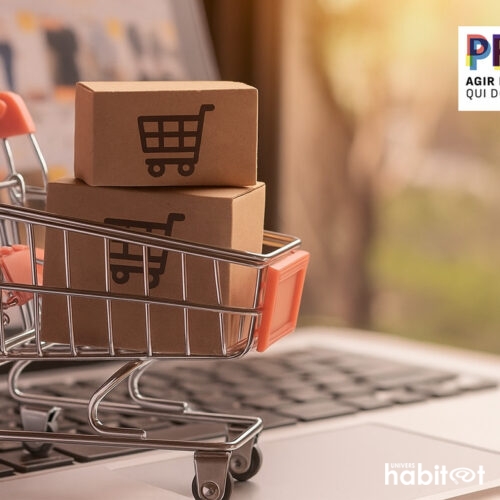 En mai, le commerce spécialisé affiche une croissance modeste malgré les incertitudes selon Procos