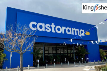 Kingfisher France : une progression notable mais mitigée