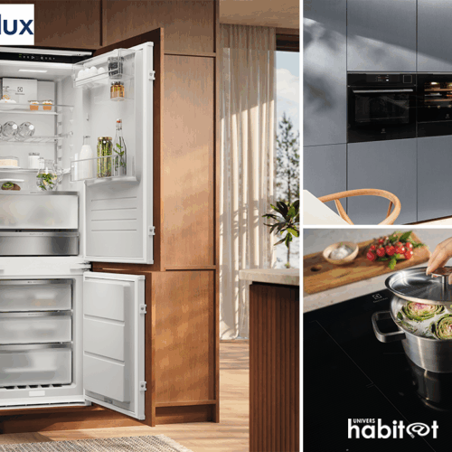Electrolux : l’encastrable intelligent entre en scène