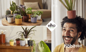Elho lance une nouvelle collection de petits pots