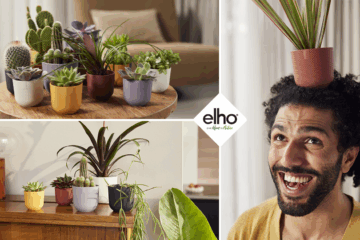 Elho lance une nouvelle collection de petits pots