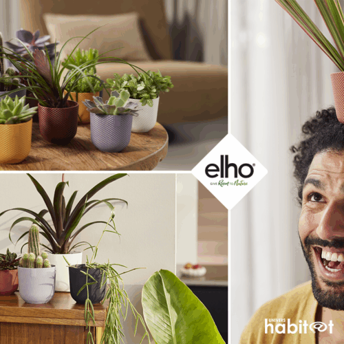 Elho lance une nouvelle collection de petits pots