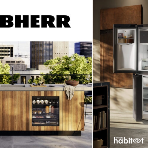 Sur EspritCuisine, Liebherr présente trois axes stratégiques destinés au marché français