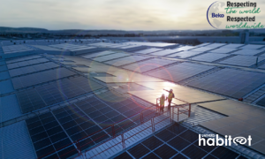 Pour la 7e année consécutive, Beko est l’entreprise la plus durable du secteur